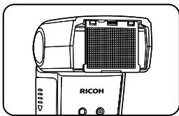 RICOH GF-1 - Wide panel - 1