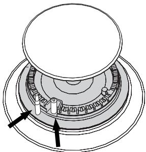 SMEG CO68GMPD9 - Die Zündkerzen und Thermoelemente - 1