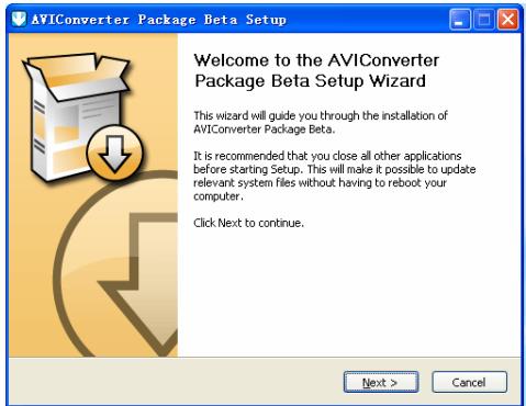 BLUESKY BMP7407 - Installation du convertisseur AVI - 1
