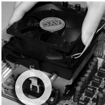 MSI 880GM-E41 - CPU & Kühler Einbau - 5