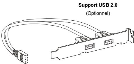 MSI G52-75161X6 - Connecteur USB avant (jaune) - 2