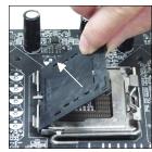 MSI G52-75161X6 - CPU &amp; Kuhler Einbau für Sockel 775 - 1