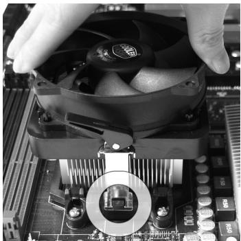 MSI MS-7660 - CPU &amp; Cooler Installation - 5
