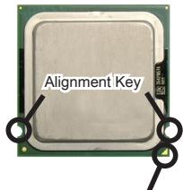 MSI G41M-P33 COMBO - The surface of LGA 775 CPU - 2