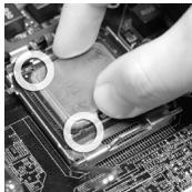 MSI G41M-P33 COMBO - Die Obserseite der LGA775 CPU. - 4