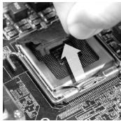 MSI G41M-P33 COMBO - Die Obserseite der LGA775 CPU. - 2