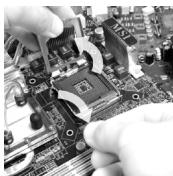 MSI G41M-P33 COMBO - Die Obserseite der LGA775 CPU. - 3