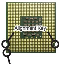 MSI G41M-P33 COMBO - The surface of LGA 775 CPU - 1