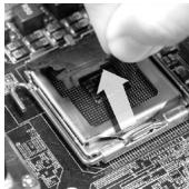 MSI G41M-P33 COMBO - The surface of LGA 775 CPU - 3