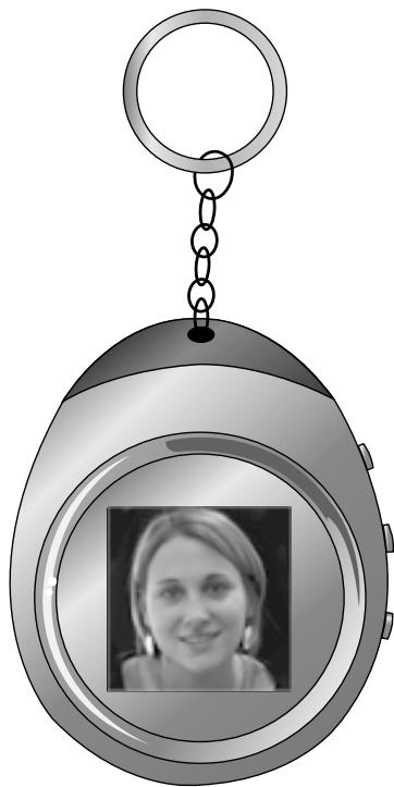 METRONIC PORTE-CLEFS AVEC CADRE PHOTO NUMERIQUE - 1