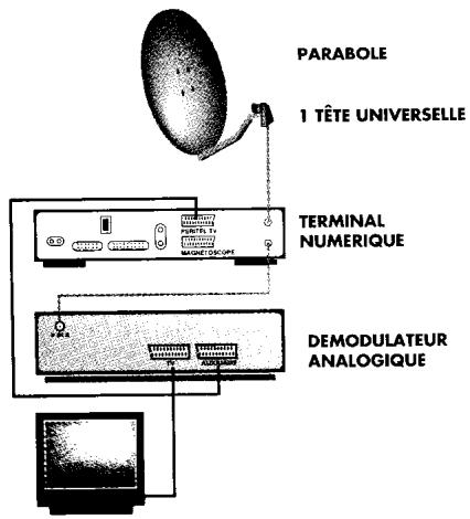 PARABOLE 1 TÊTE UNIVERSELLE TERMINAL NUMERIQUE DEMODULATEUR ANALOGIQUE