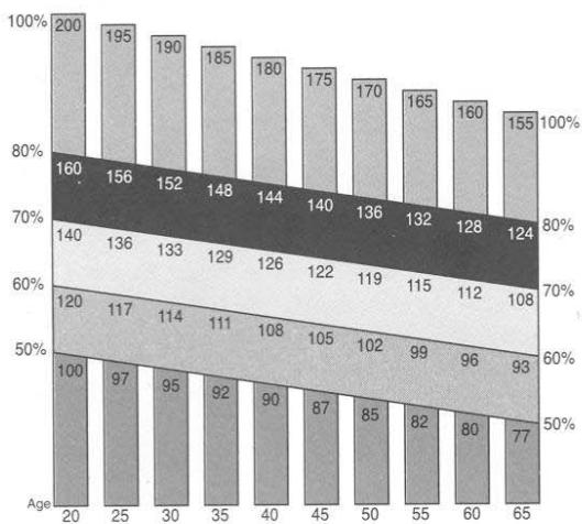 DECATHLON MAGNET 4000 - Zone d'exercice - 1