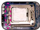 GIGABYTE GBT CPU WATERBLOCK - Installation du bloc d' eau - 6