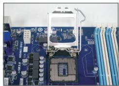 GIGABYTE GA-B85M-D3V - Installazione di una CPU Intel (saltare esta fase se la schedà madre ha una CPU integrata) - 1
