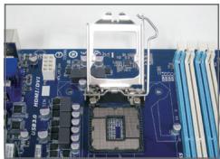 GIGABYTE GA-B85M-D3V - Installieren einer Intel CPU (überspringen Sie diesen Schritt, wenn das Motherboard über einen eingebauten Prozessor verfügbar) - 1