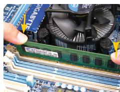 GIGABYTE GA-B85M-D3V - Taynn npn . - 4