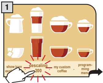 SAECO PRIMEA TOUCH PLUS CAPPUCCINO - WARNING! DESCALING MUST BE COMPLETED WITHIN 24 HOURS FROM ITS INTERRUPTION. - 1