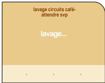 SAECO PRIMEA TOUCH PLUS - LE CYCLE DE LAVAGE NE POT PAS ETRE INTERROMPU. PENDANT CETTE OPÉRATION, LA PRÉSENCE D'UNE PERSONNE EST NÉCESSAIRE. - 3