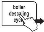SAECO TALEA TOUCH - WARNING! NEVER USE VINEGAR AS A DESCALER. - 1