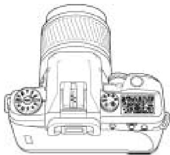 KONICA MINOLTA DYNAX 60 - Écran de contrôle - 1
