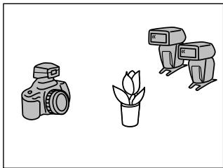 KONICA MINOLTA 5600HS - [2]Avecdeuxflashes(p48) - 1