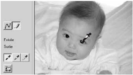 KONICA MINOLTA DIMAGE IMAGE VIEWER UTILITY FOR DIMAGE S404 - Corrections par "point blanc", "point noir", et "point gris - 2