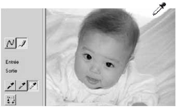 KONICA MINOLTA DIMAGE IMAGE VIEWER UTILITY FOR DIMAGE S404 - Corrections par "point blanc", "point noir", et "point gris - 1