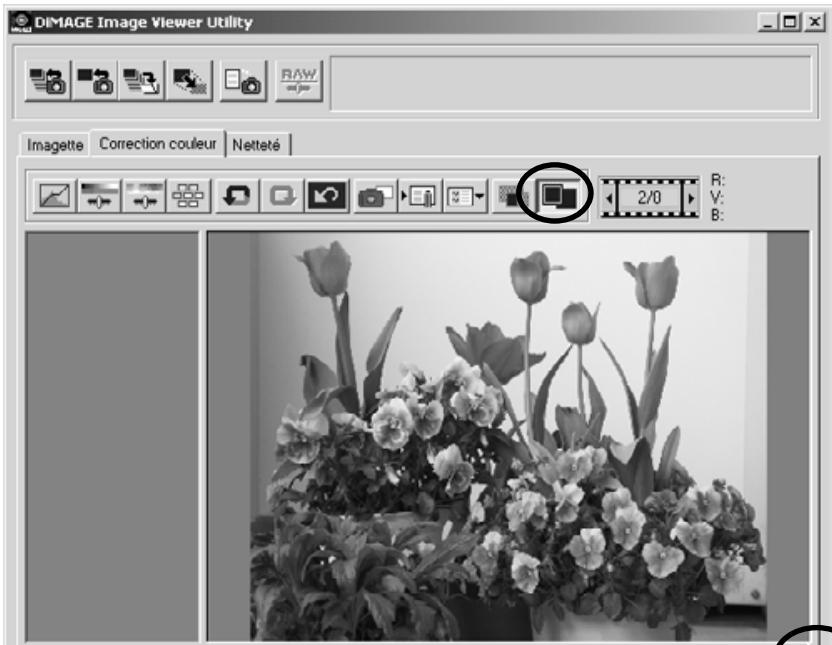 KONICA MINOLTA DIMAGE IMAGE VIEWER UTILITY FOR DIMAGE S404 - Bouton "image entière - 1