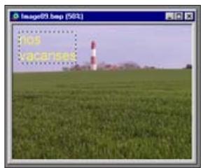 KONICA MINOLTA DIMAGE V SOFTWARE-WIN - INCORPORATION DE TEXTE DANS LES IMAGES - 3