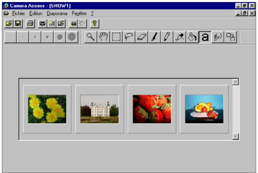 KONICA MINOLTA DIMAGE V SOFTWARE-WIN - Options d'effets de passage - 1