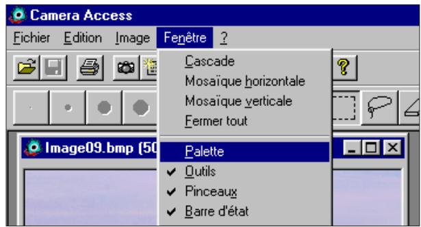 KONICA MINOLTA DIMAGE V SOFTWARE-WIN - AGRANDISSEMENT DE LA ZONE D'AFFICHAGE - 1