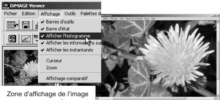 KONICA MINOLTA DIMAGE VIEWER VER2.0 - Fenêtre de correction d'image - 2