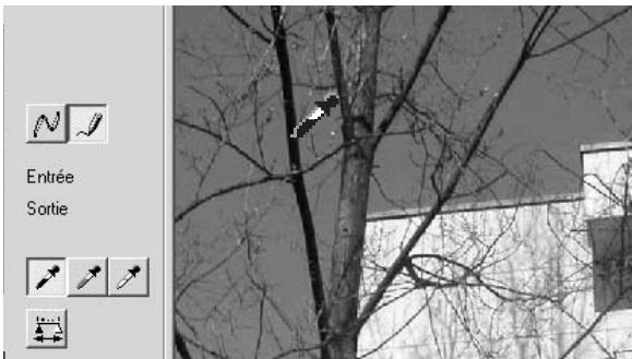KONICA MINOLTA DIMAGE VIEWER VER2.0 - Corrections par "Point blanc", "Point noir", et "Point gris" - 2