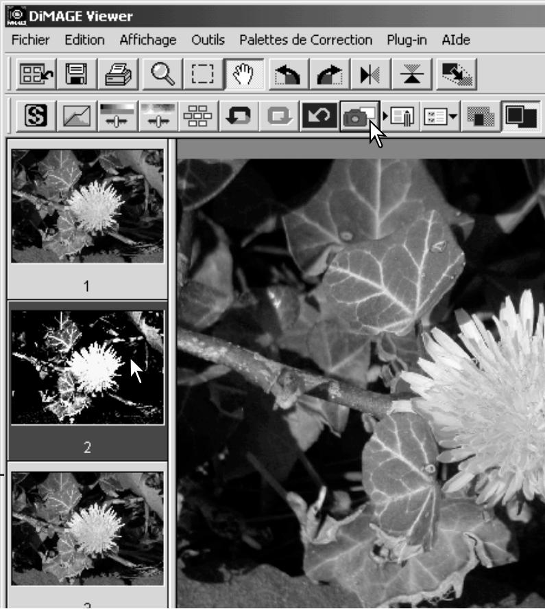 KONICA MINOLTA DIMAGE VIEWER VER2.0 - Enregistrer une partie d'image – délimitation de zone - 5