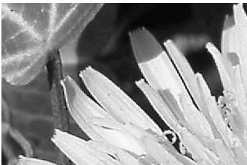 KONICA MINOLTA DIMAGE VIEWER VER2.0 - Correction de teinte - 5