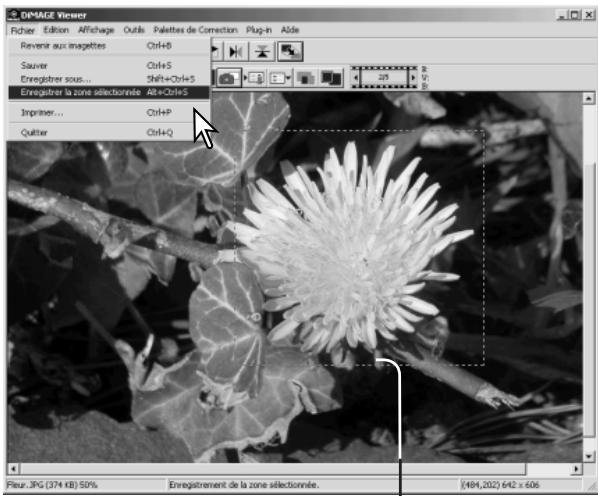 KONICA MINOLTA DIMAGE VIEWER VER2.0 - Enregistrer une partie d'image – délimitation de zone - 2