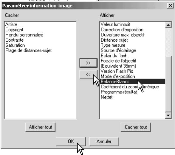 KONICA MINOLTA DIMAGE VIEWER VER2.0 - Réglage des informations des images - 2