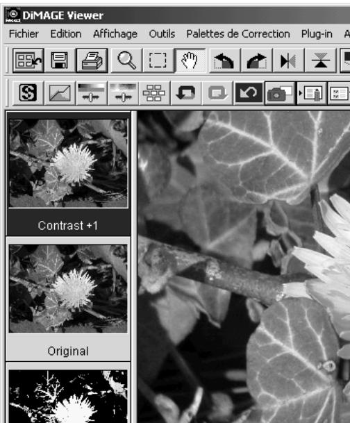 KONICA MINOLTA DIMAGE VIEWER VER2.0 - Charger les scripts de correction d'image - 2