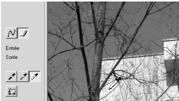 KONICA MINOLTA DIMAGE VIEWER VER2.0 - Corrections par "Point blanc", "Point noir", et "Point gris" - 1