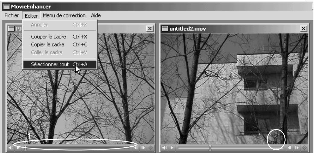 KONICA MINOLTA DIMAGE VIEWER VER2.0 - Raccorder deux clips vidéo - 1