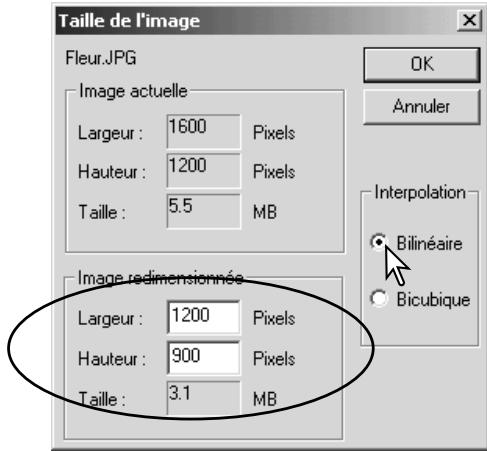 KONICA MINOLTA DIMAGE VIEWER VER2.1 - Redimensionner une image avant de l'enregistrer - 2