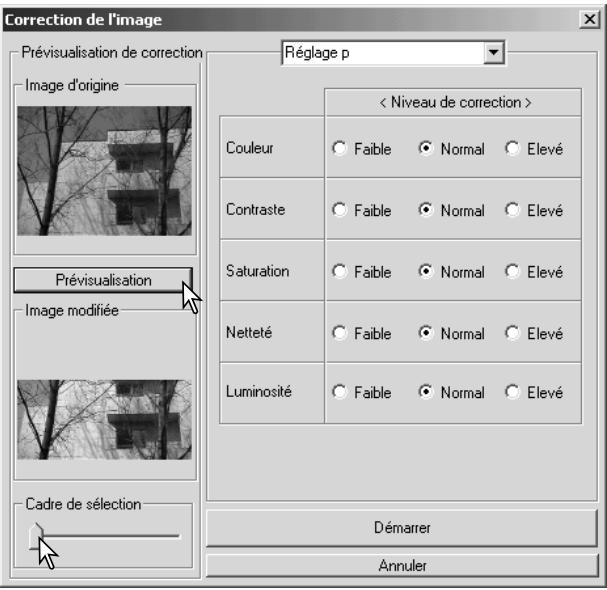 KONICA MINOLTA DIMAGE VIEWER VER2.1 - Correction des images vidéo - 2