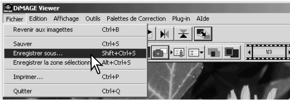KONICA MINOLTA DIMAGE VIEWER VER2.1 - Changer le nom et le format - 3