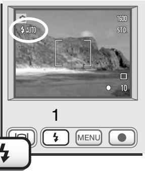 KONICA MINOLTA DIMAGE X - Modes Flash - 1