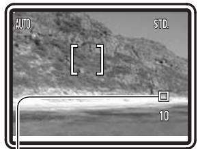 KONICA MINOLTA DIMAGE X31 - MODES D'ENTRAJINEMENT - 3