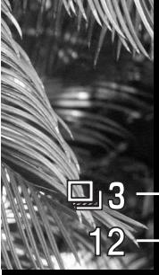 KONICA MINOLTA DIMAGE Z1 - Bracketing - 2