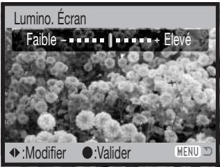 KONICA MINOLTA DIMAGE Z10 - Luminosité de l'écran ACL - 4