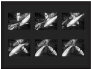 KONICA MINOLTA DIMAGE Z10 - Utilisation des modes d'entrainment progressif - 4