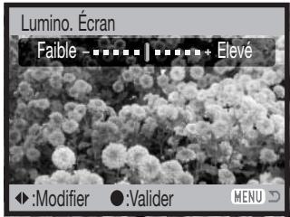 KONICA MINOLTA DIMAGE Z2 - Luminosité de l'écran ACL - 5
