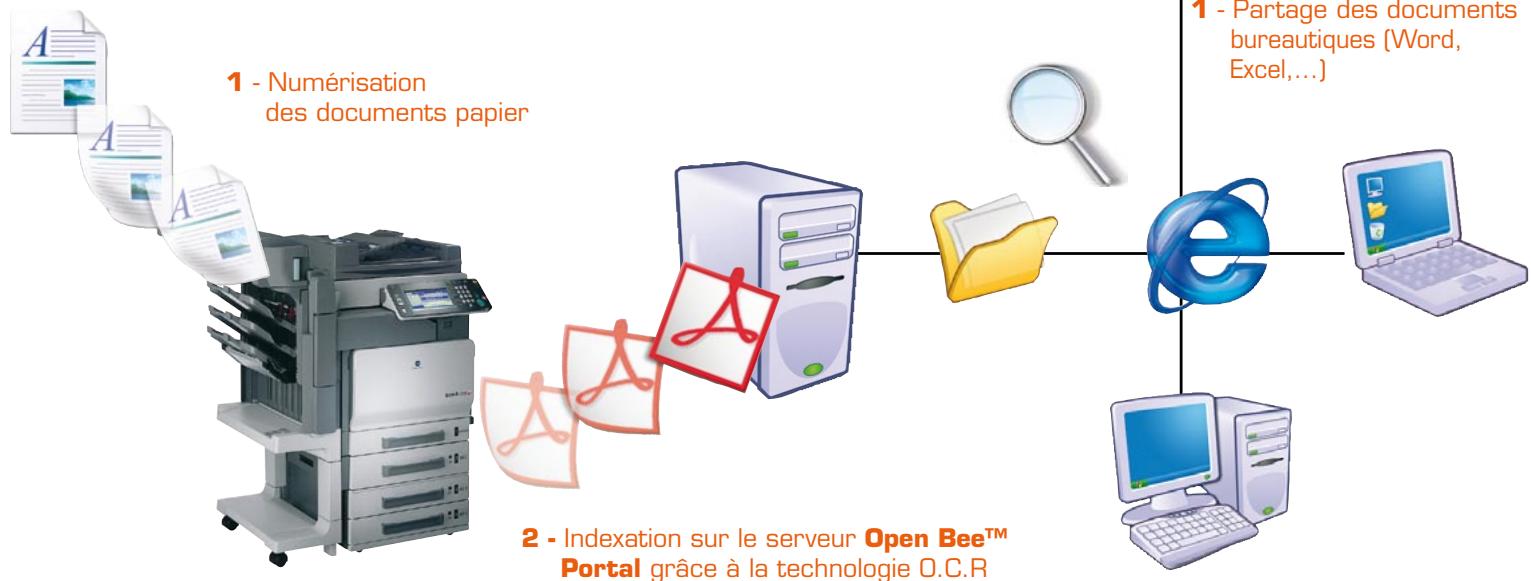 KONICA MINOLTA OPEN BEE SCAN PORTAL - Scan / Portal - 5